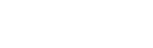 Servicur